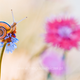 Illustration for article titled Wildlife photos that blur the line between reality and fantasy
